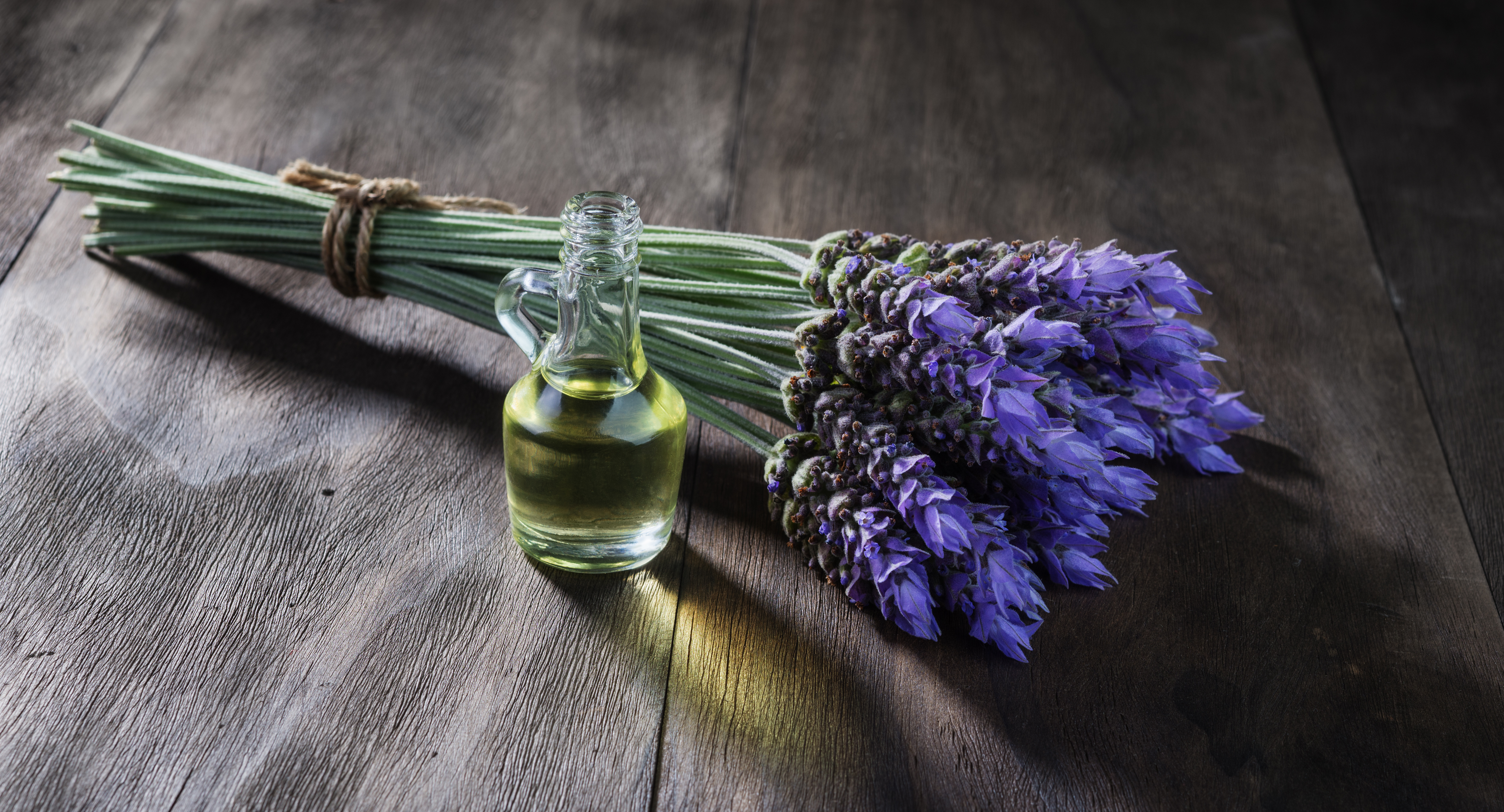Lavender not estrogenic!